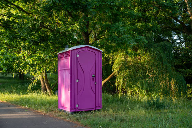 Types of Portable Toilets We Offer in Tonto Basin, AZ